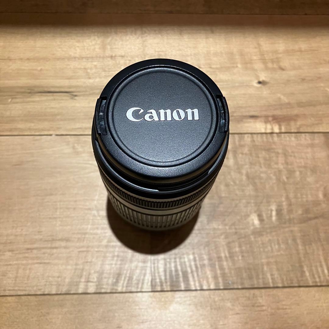 Canon EF-S 55-250mm f/4-5.6 IS ズームレンズ