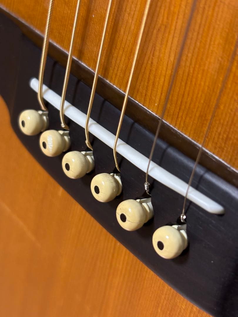 程度上！CAT'S EYES キャッツアイ アコギ CE500 調整済！HC付き ギター