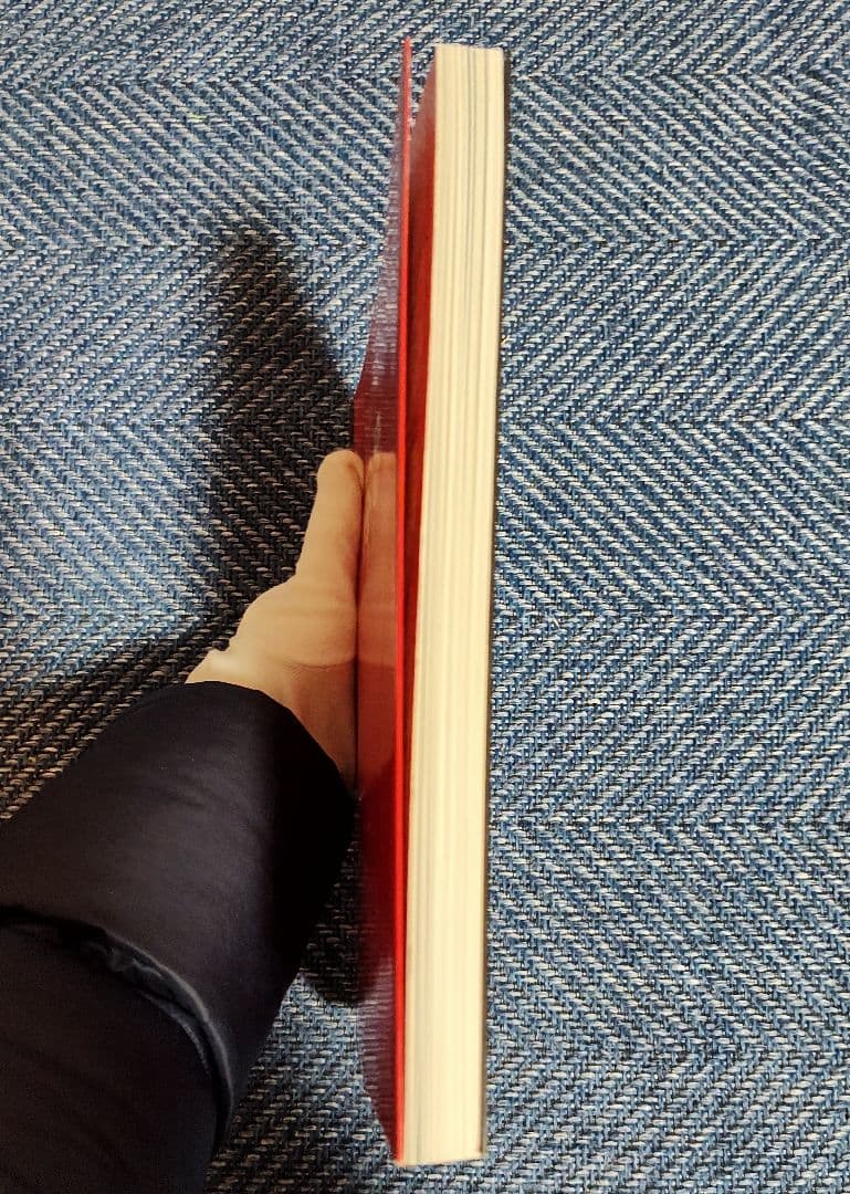 100 ARTISTS SEE SATAN アートブック☆洋書です☆ - メルカリ