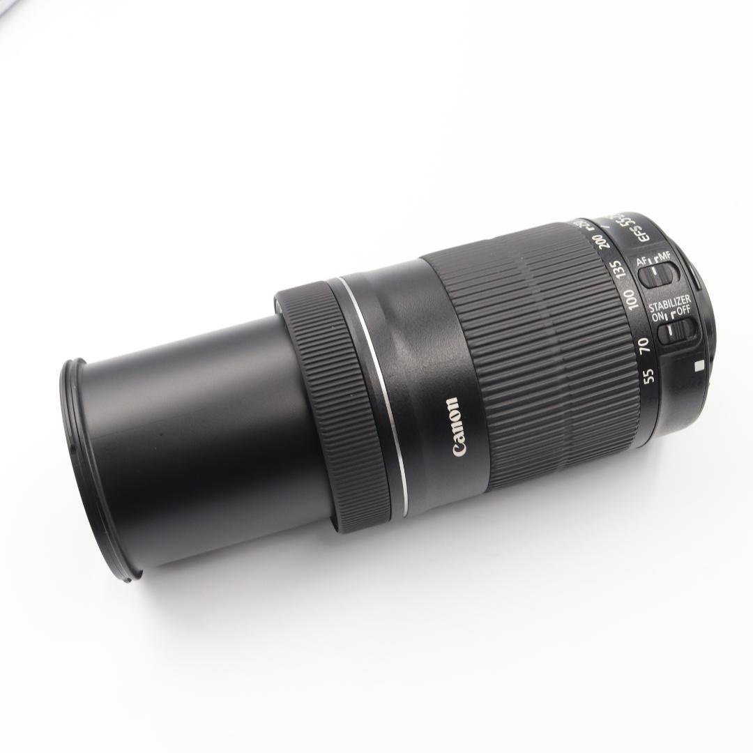 Canon EF-S 55 -250mm F4.5-5.6 IS STM 美品