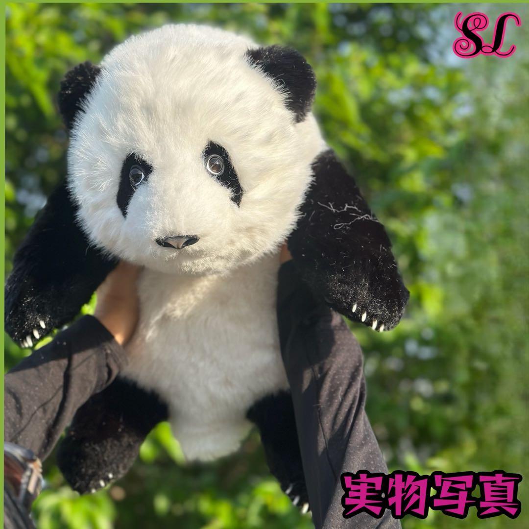 パンダ　リアルで癒される！5ヶ月齢パンダ ぬいぐるみ登場 ファファ まるで本物！ 5ヶ月齢座り姿のリアルパンダ フーバオ | パンダプラネット