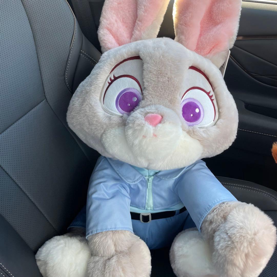 cooo様最安値！コストコ ズートピア ジュディ ブランケット付き - メルカリ