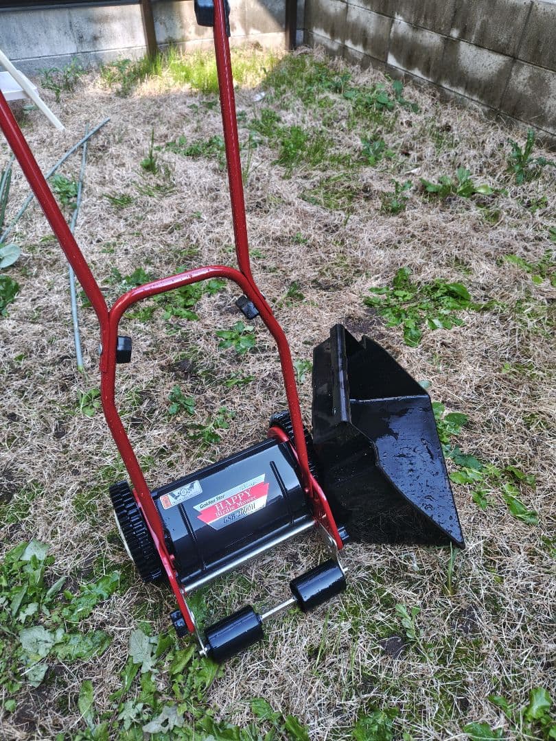 キンボシ ハッピーバーディーモア ゴールデンスター okb115s-2024.jpg