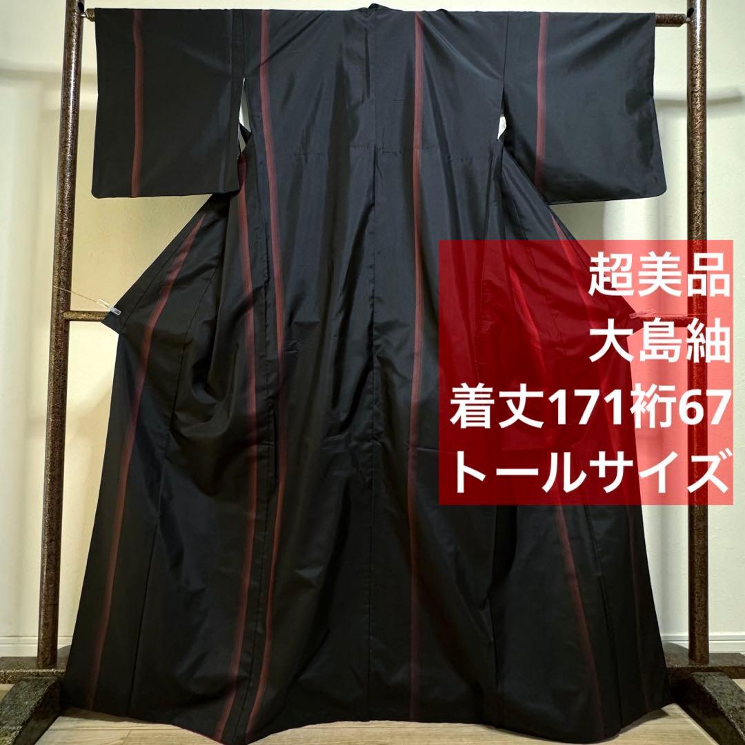 超美品　着物　正絹　袷　現代　紬　171裄67 黒　赤　大島紬　トール　シンプル 20%OFFセール 黒大島紬 前田紬工芸 仕立て付き 泥大島 着物 正絹