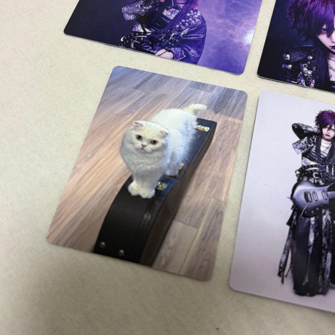 Royz 杙凪 トレーディングカードセット - メルカリ