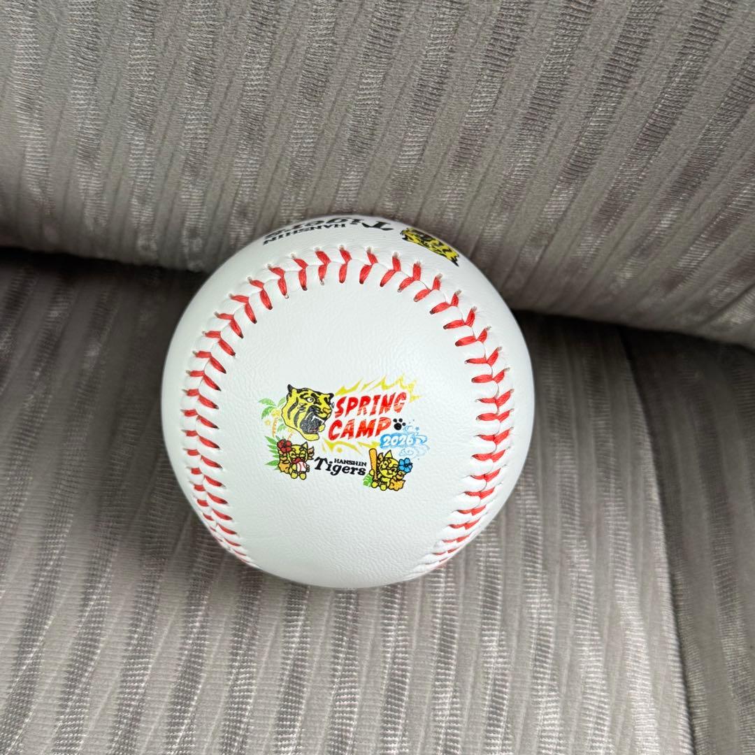阪神タイガース 高橋遥人 直筆サインボール 沖縄キャンプ限定