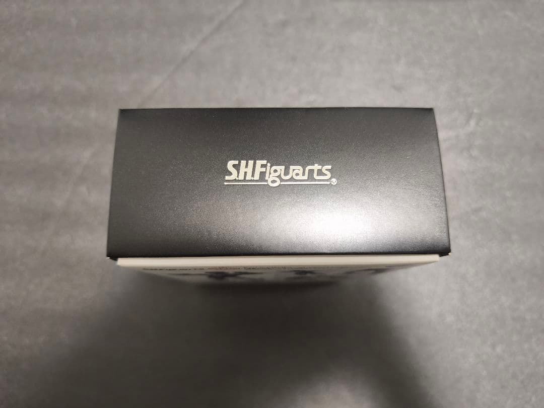 S.H.Figuarts（真骨彫製法）　シャドームーン