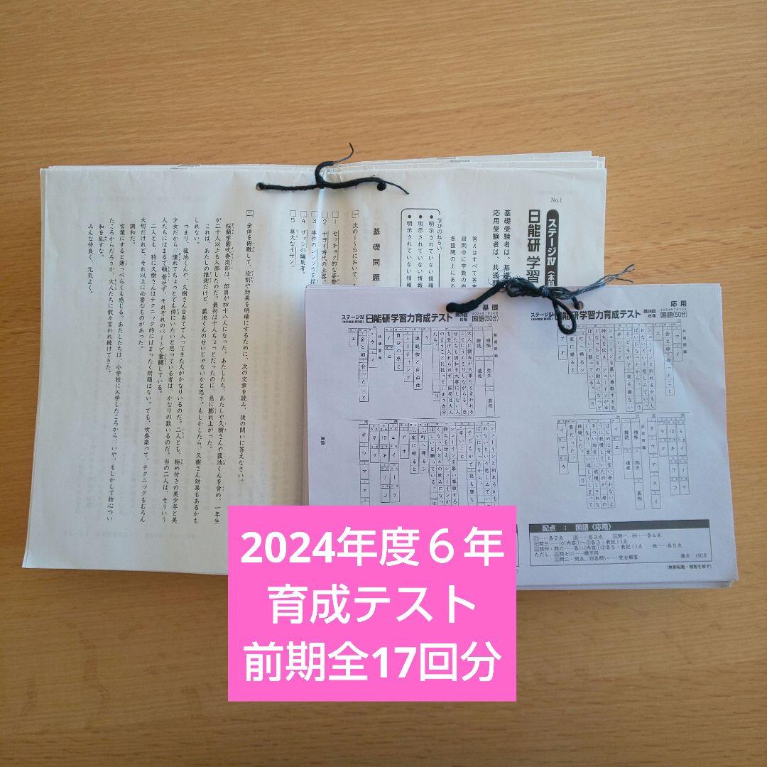 日能研 6年 2024 前期 育成テスト 全17回分