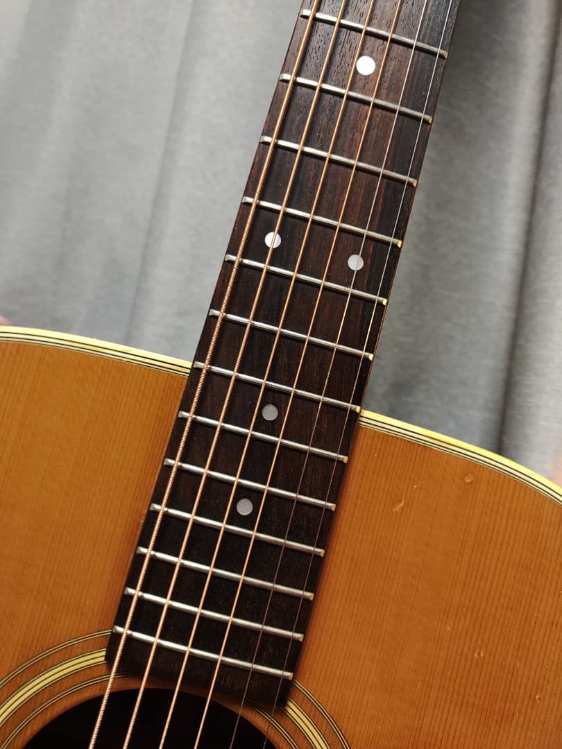 Vesta Graham ベスタグラハム VD-40 希少アコースティックギター