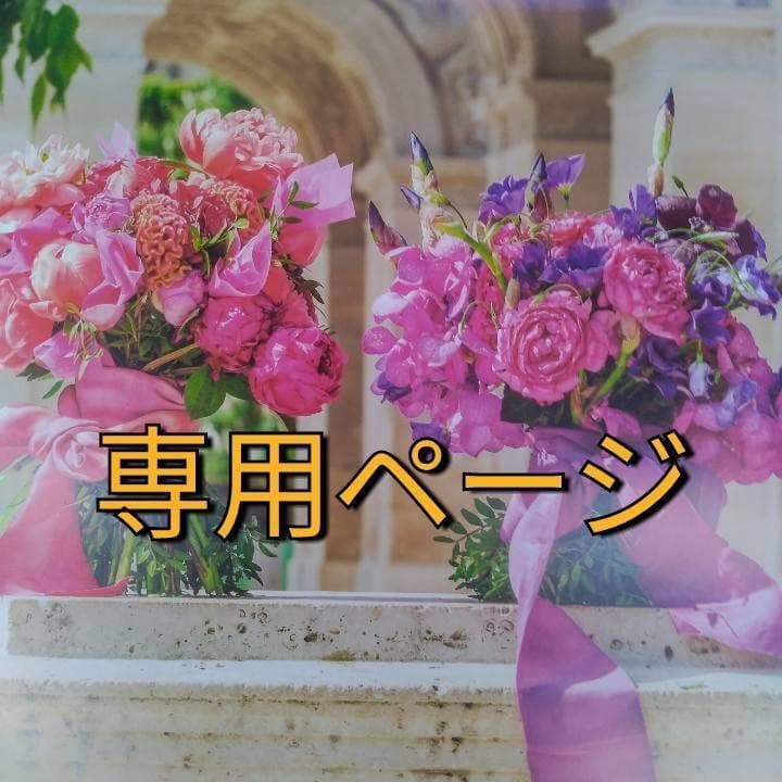 めるし/4 カワサキ ZX-4試乗【1988年新車時レポート】カワサキ初の400cc専用4