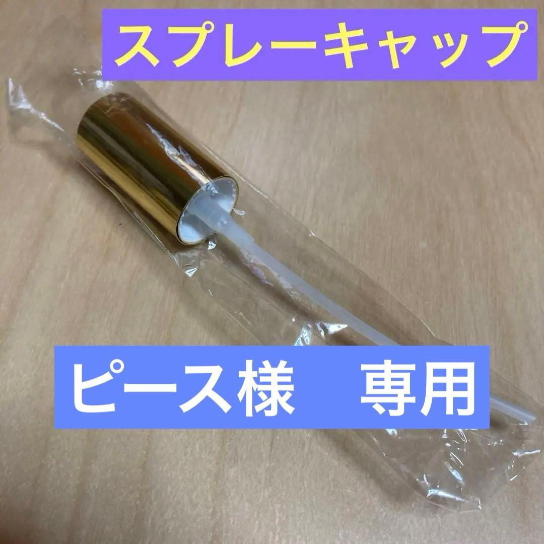 未使用 サンタマリアノヴェッラ スプレーキャップ - メルカリ