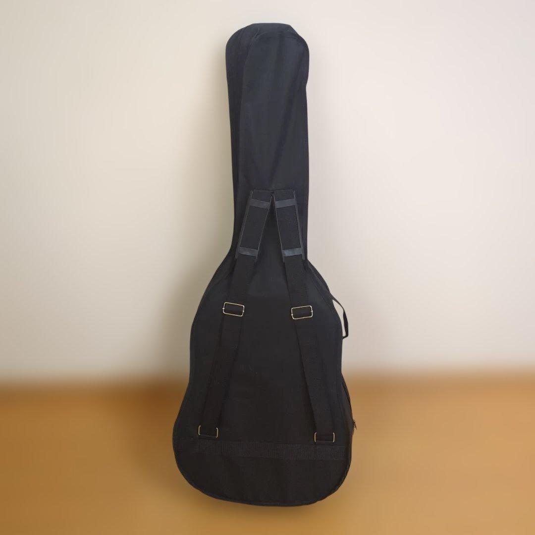 絶版・美品LumberランバーLD30VSアコースティックギター純正ケース＆弦