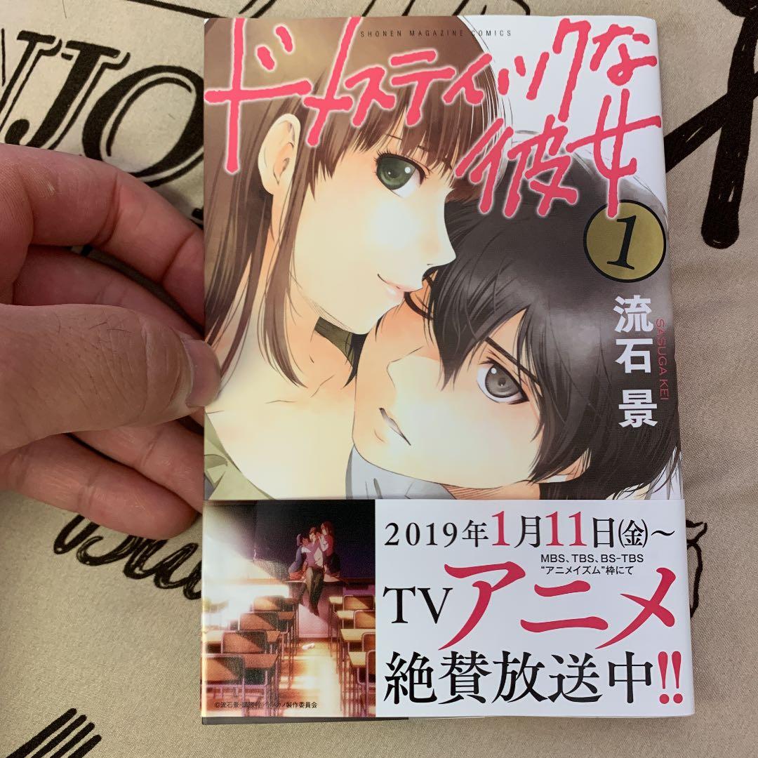 ワンピースマンガとスタンピード小説、その他ドメカノなど