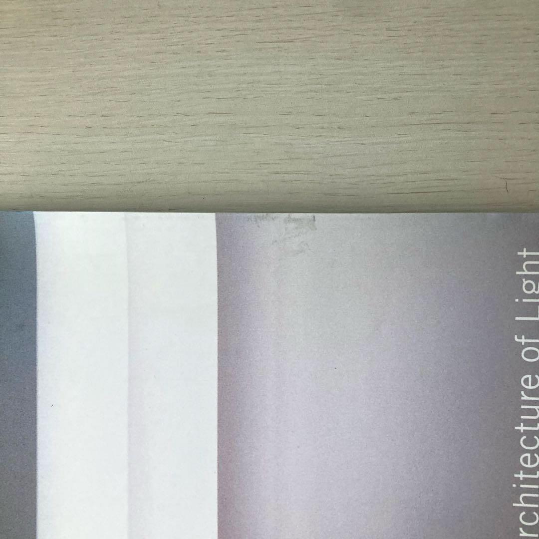 Dan Flavin ダン・フレイヴィン グッゲンハイム美術館 2000年 図録