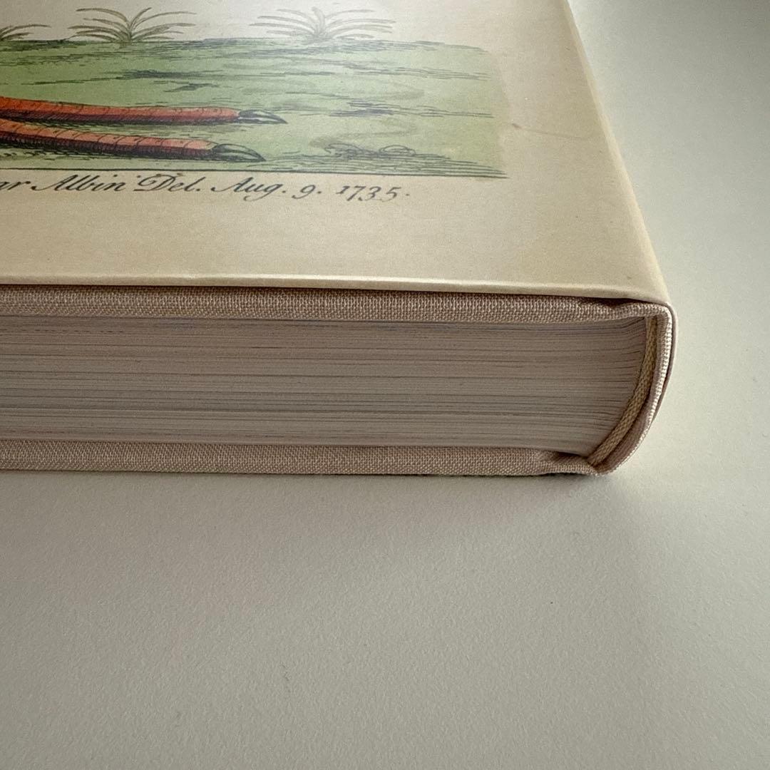 【最終お値下げ10/5本日までの特価です】ジョンデリアン ピクチャーブックII