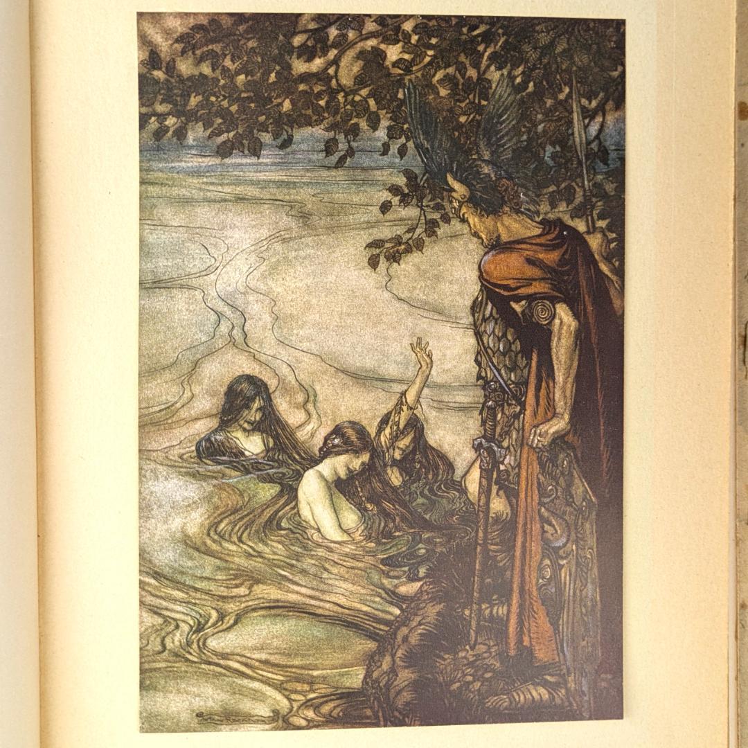 初版 アーサー・ラッカム挿画紋本 カラーイラスト全揃いジークフリート