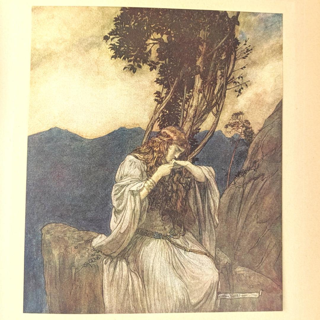 初版 アーサー・ラッカム挿画紋本 カラーイラスト全揃いジークフリート