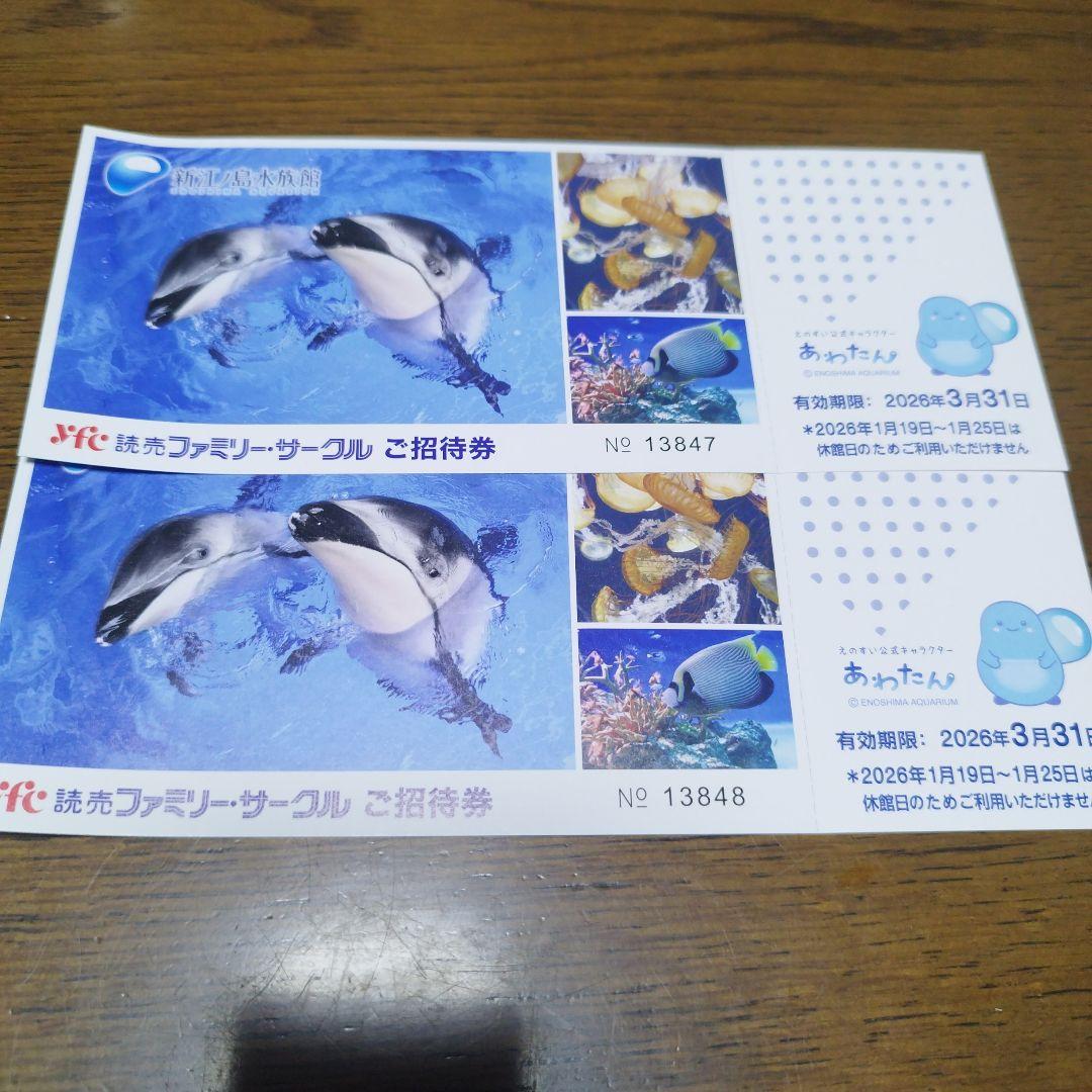 新江ノ島水族館 無料招待券2枚セット 有効期限2026年3月31日 即日発送