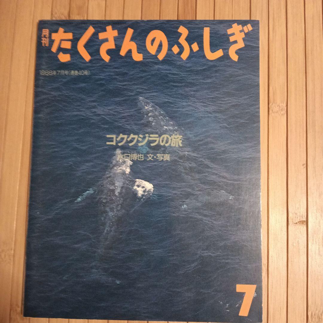 希少！【たくさんのふしぎ】33冊＋見本誌
