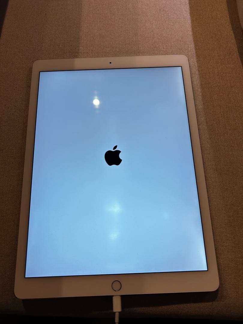 ジャンク iPad pro 12.9インチ 第1世代 グレー - メルカリ