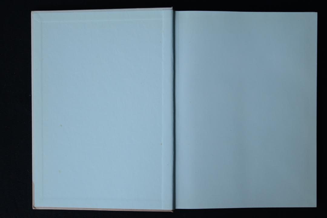 Rineke Dijkstra: Portraits】2001年 ☆未読・美本 - メルカリ