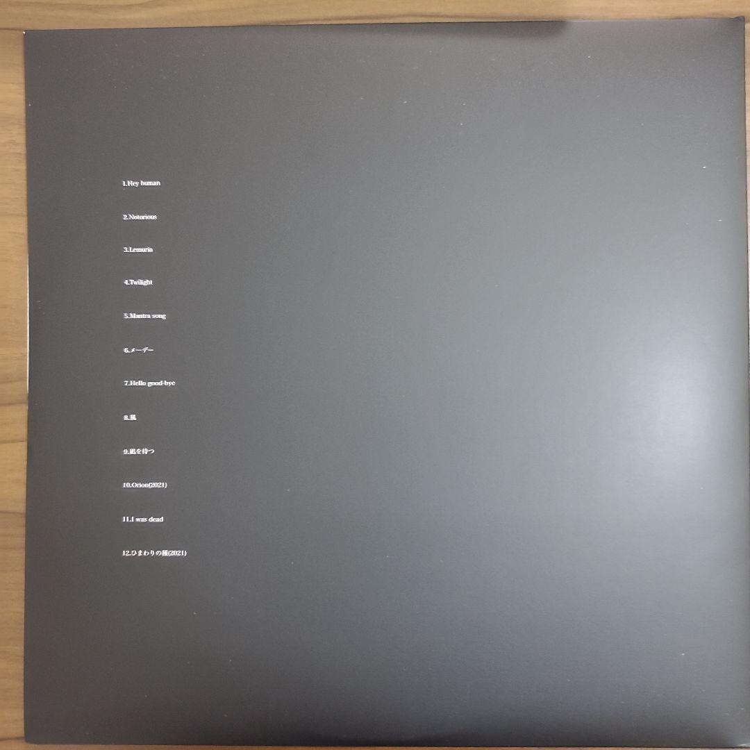 踊ってばかりの国 -moana- LPレコード