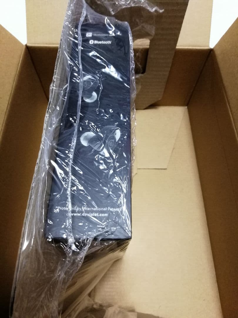 新品未開封　Devialet Gemini　デビアレ　ジェミニ Devialet Gemini II Black - Luxury Wireless Earbuds