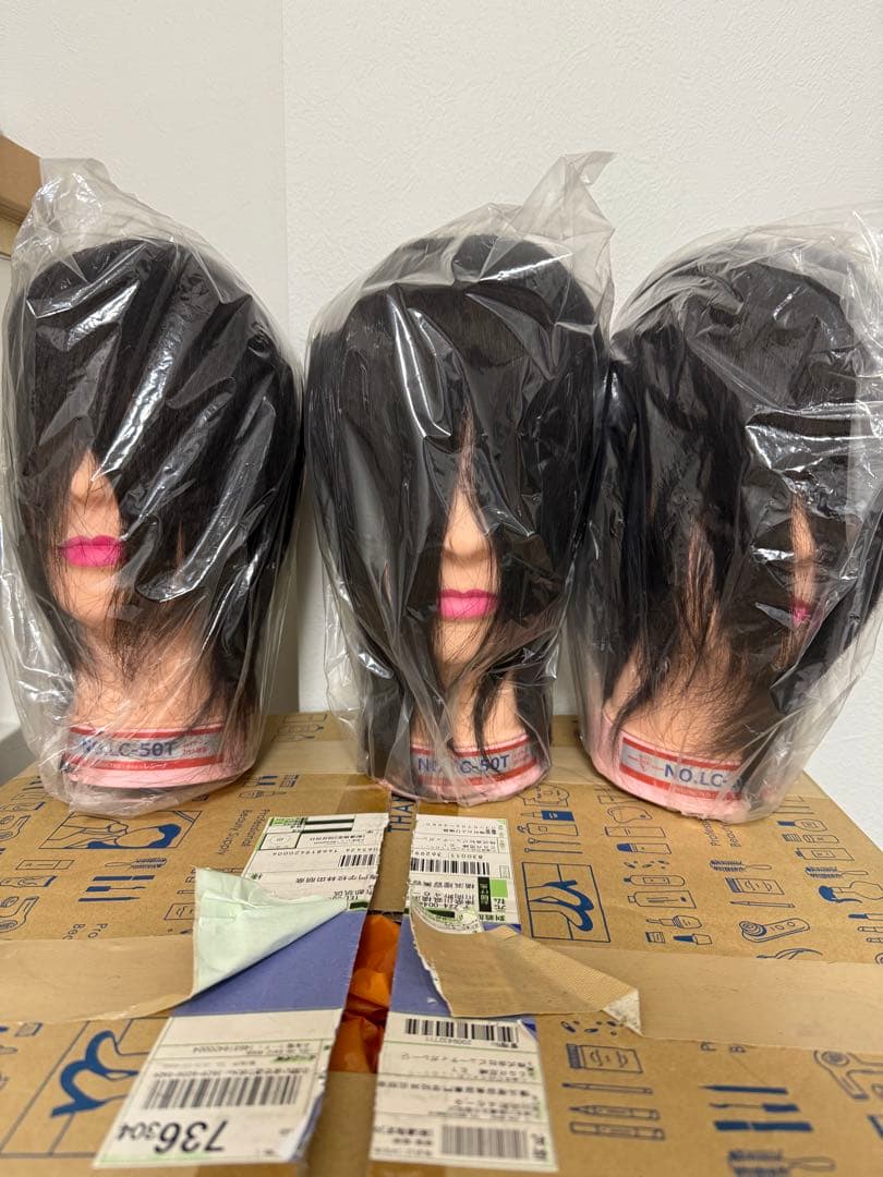 レジーナカット練習用ウィッグ 3体 レジーナ 国家試験カッティング課題練習用カットウィッグ LC-50T[美容