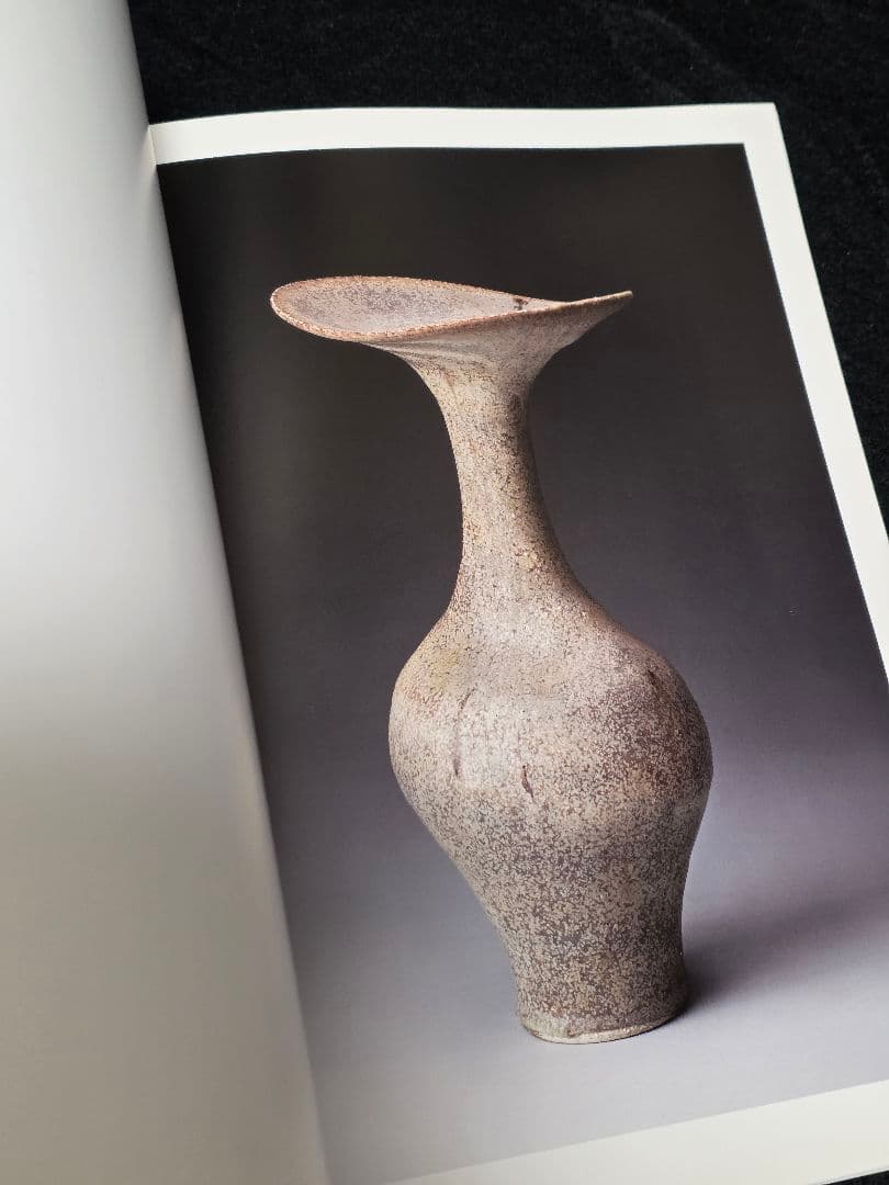 Lucie Rie Vol.2】ルーシーリー 作品集 図録 水戸忠交易 非売品 - メルカリ