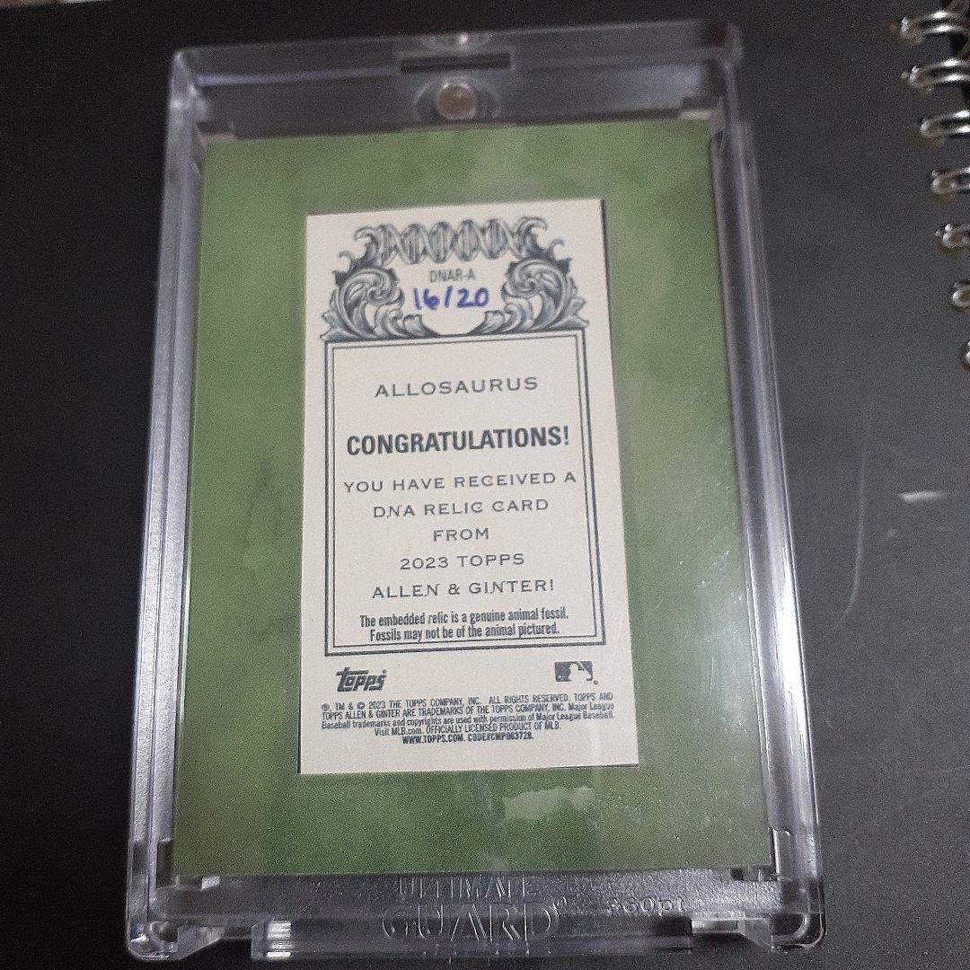allen & ginter dna relic 化石 allosaurus - メルカリ
