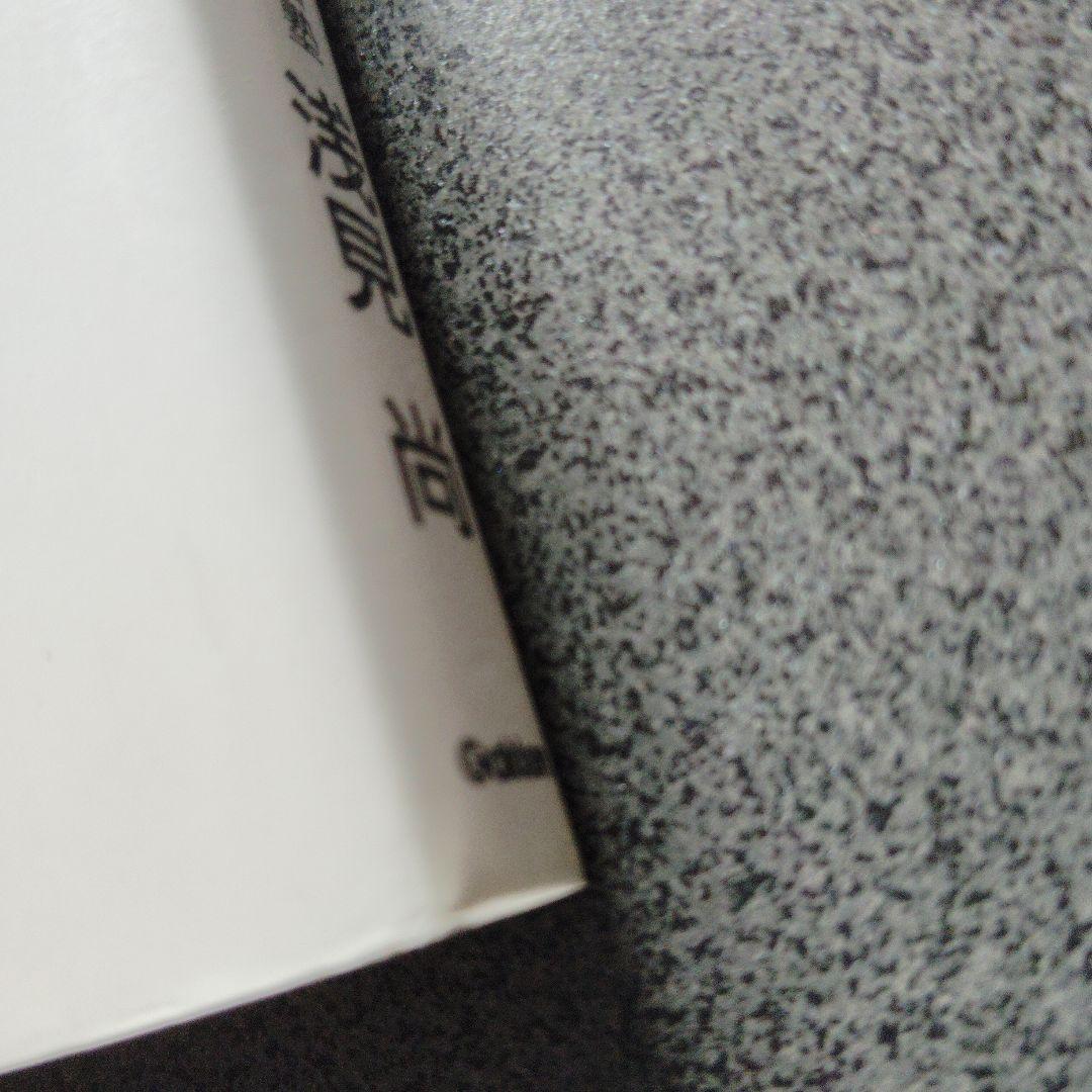 スーパー理系数学 図形問題・微分・積分編 1998年発行初版 浅見尚 絶版