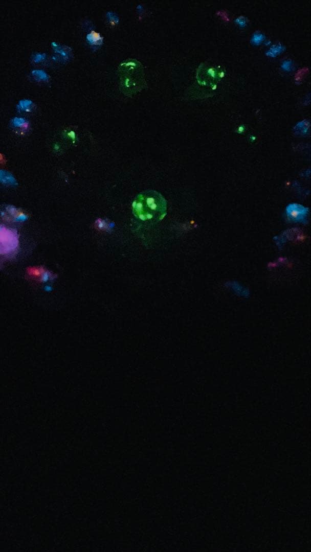 はち✨parade Part II