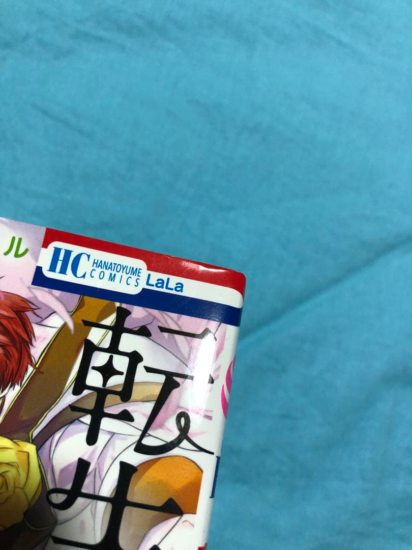 4〜13初版14〜17番外編集未開封小冊子特典無し】転生悪女の黒歴史 1