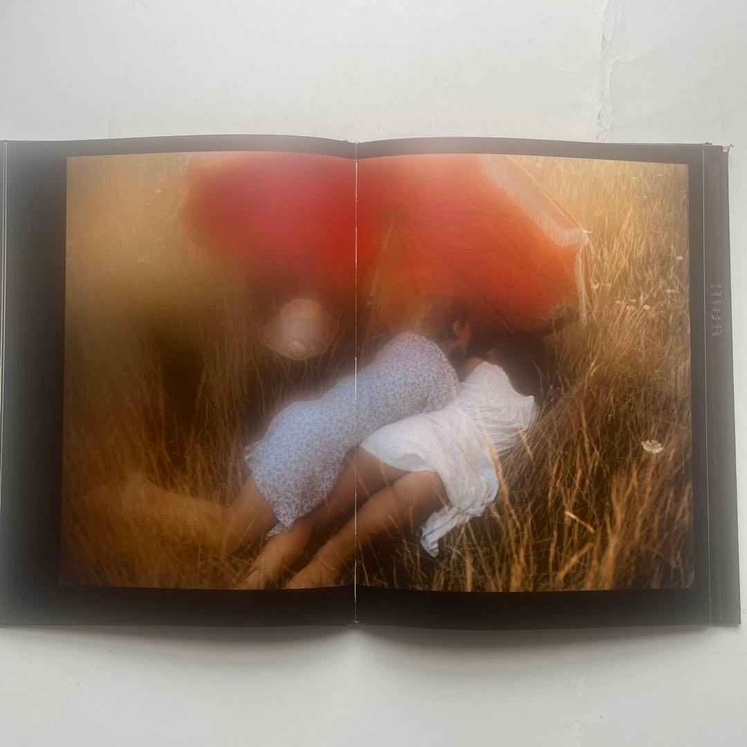 s*y様 希少、　デビットハミルトン写真集4冊組