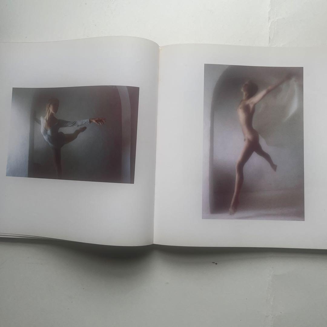 s*y様 希少、　デビットハミルトン写真集4冊組