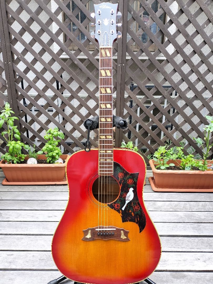 ☆美品☆Gibson　Doveモデル　Aria Custom 製造番号0067！ Gibson Custom Shop Dove Alpine White Gloss NH【現物画像】 ギブソン