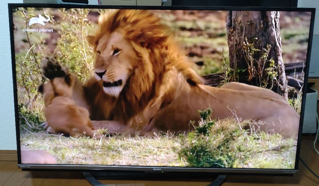 最終値下げ！送料無料！SHARP 液晶テレビ　50インチ　2017年製 AQUOS SHARP テレビ 50V型 4K対応パネル LC-50U45 (2017年製) 中古