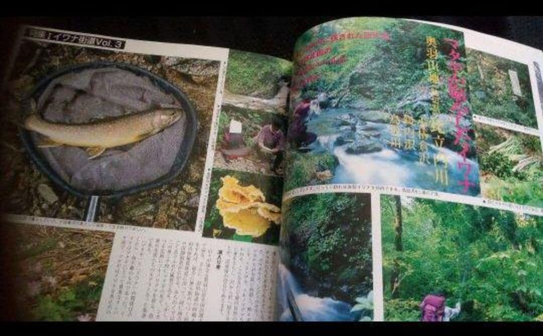 ▽希少 みちのく遊学'97 植野稔の山釣りシリーズ 渓流 釣り 八久和
