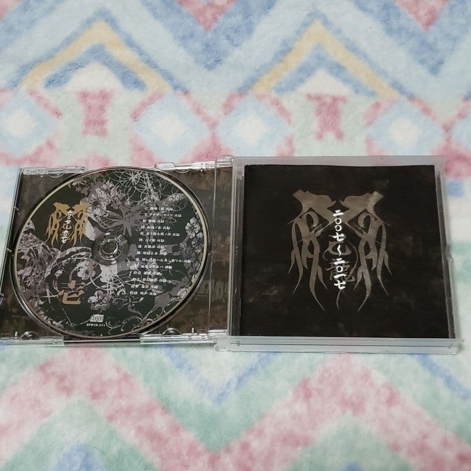 己龍　ベスト　DVD付　二〇〇七～二〇一七