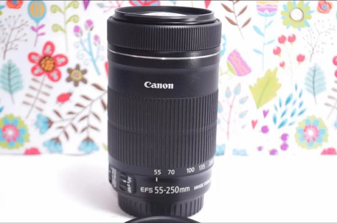 キャノン⚫︎Canon EF-S 55-250mm F4-5.6 IS STM Canon EF-S 55-250mm f/4-5.6 IS STM Lens Review