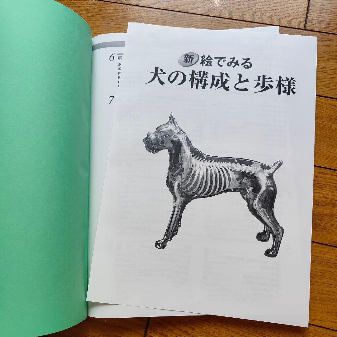 新絵でみる犬の構成と歩様 - メルカリ