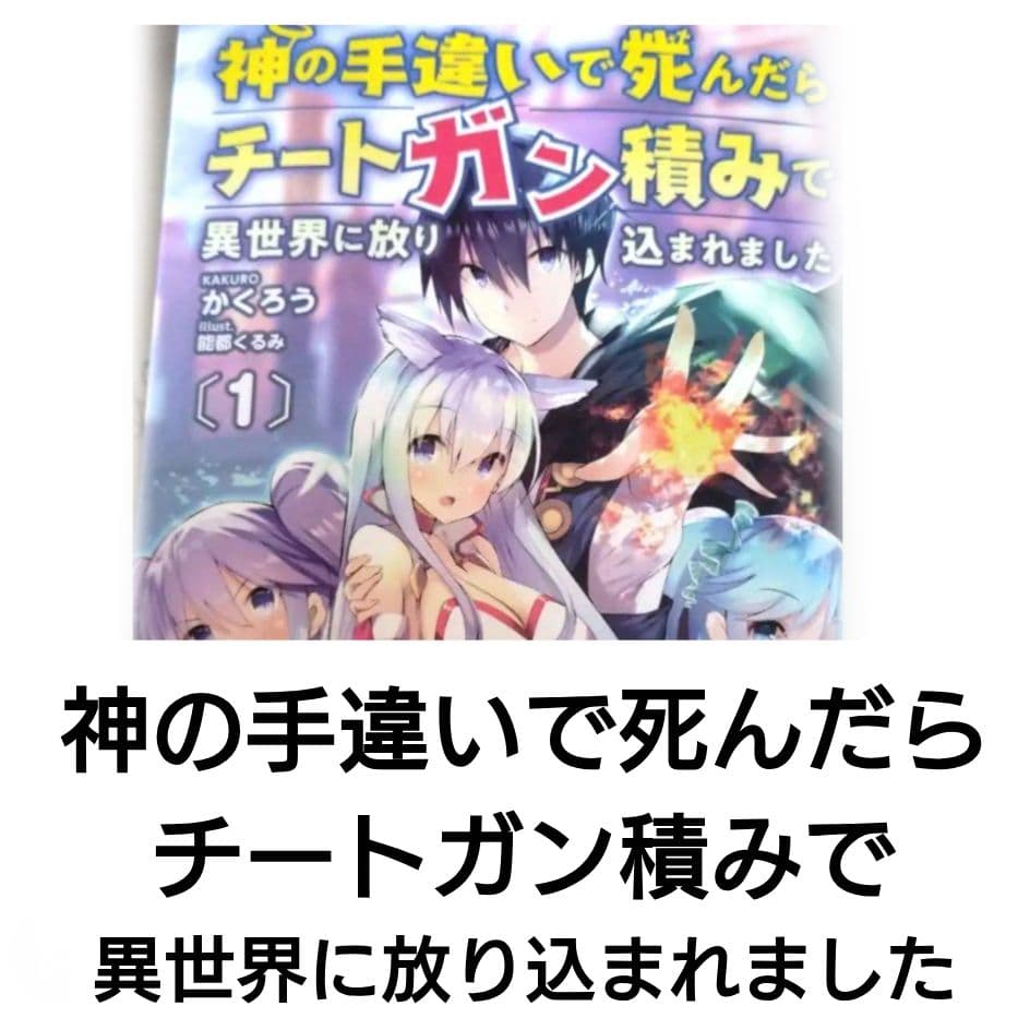 神の手違いで死んだらチートガン積みで異世界に放り込まれました 1