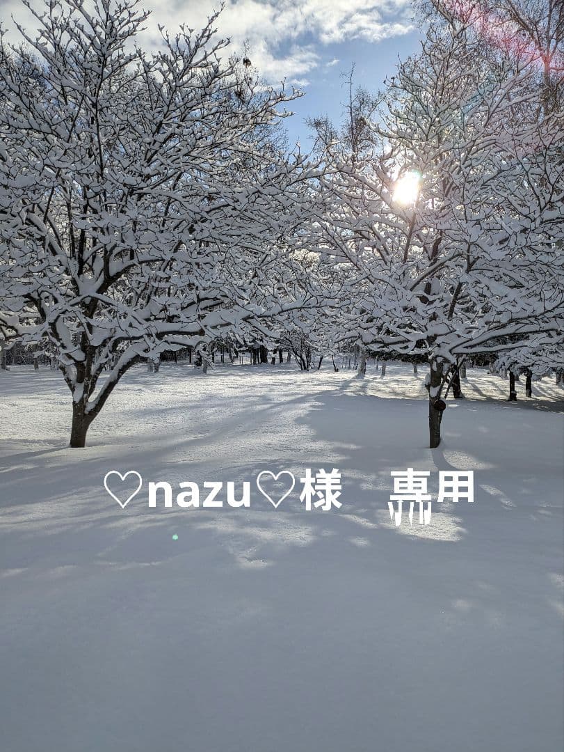 ♡nazu♡　バードアスレチック オーダー】バードアスレチック🐤バードジム - MR'S GALLERY | minne