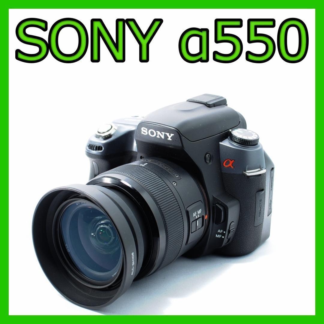 家族との想い出を綺麗に❗️SONY α550✨️届いてすぐ使える✨スマホ転送 Special Contents for Family | デジタル一眼カメラα（アルファ