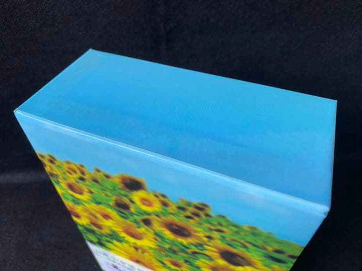 いま,会いにゆきます DVD-BOX('04「いま,会いにゆきます」製作委員会…