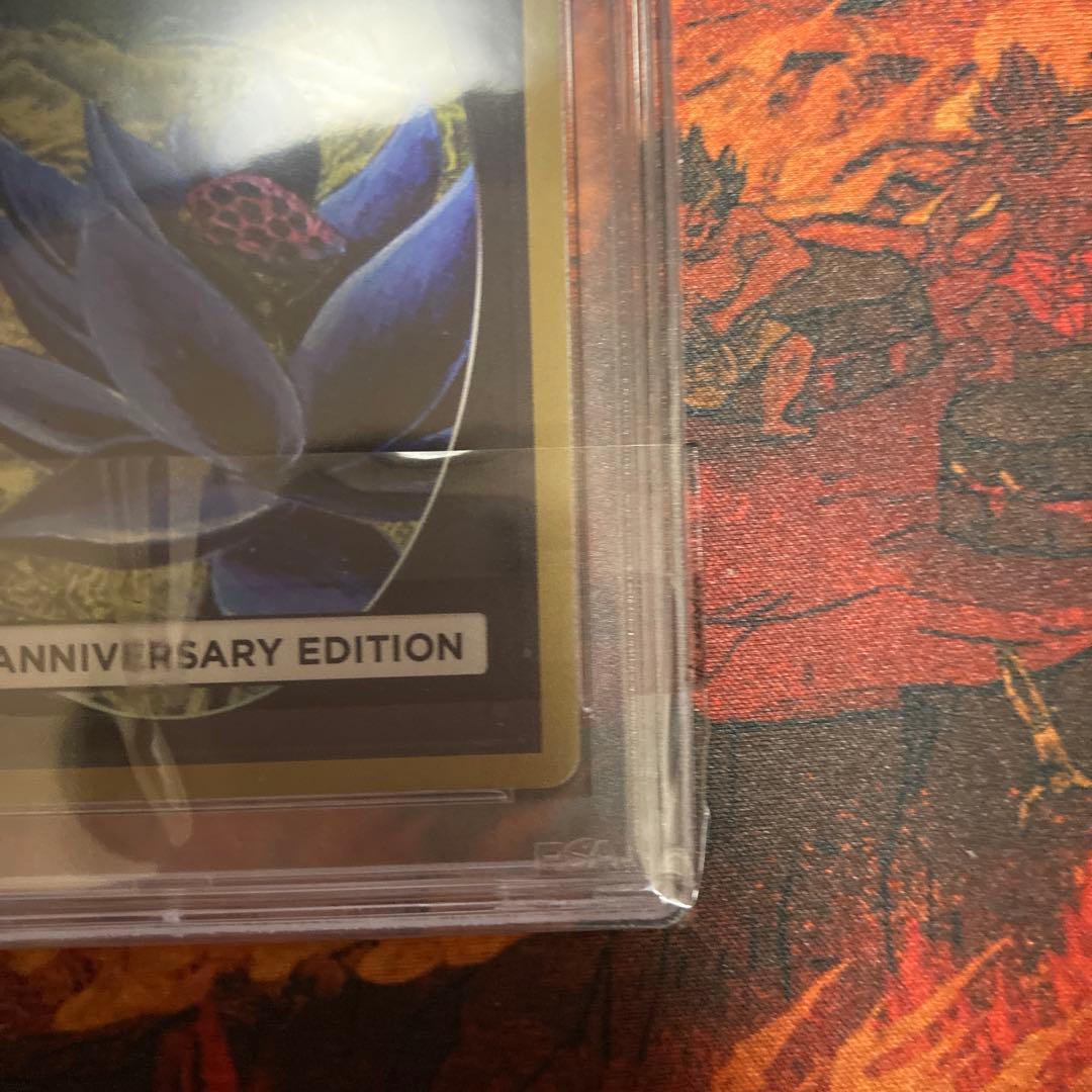 PSA10 新枠 旧枠 2枚セット Lord of the Pit 30th - メルカリ