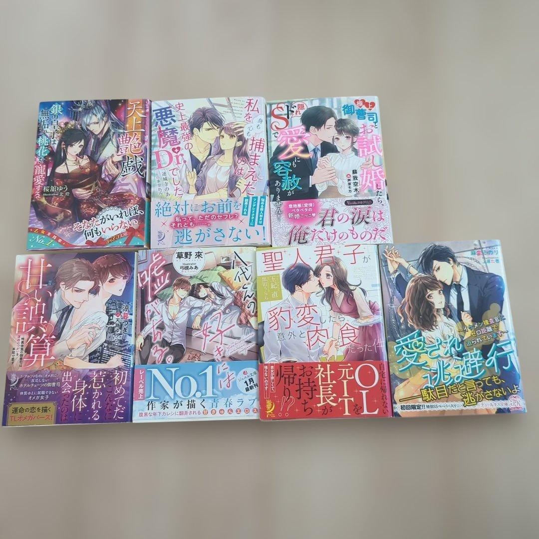 蜜夢文庫 ティアラ文庫 ジュエル文庫 ヴァニラ文庫 チュールキス文庫