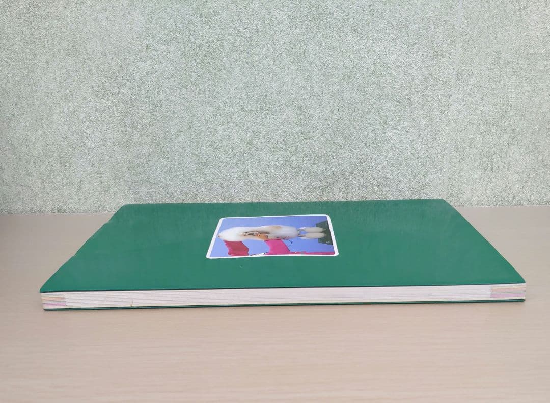 付録欠品】ハンドリングマニュアル 公認ハンドラー教本 JKC - メルカリ