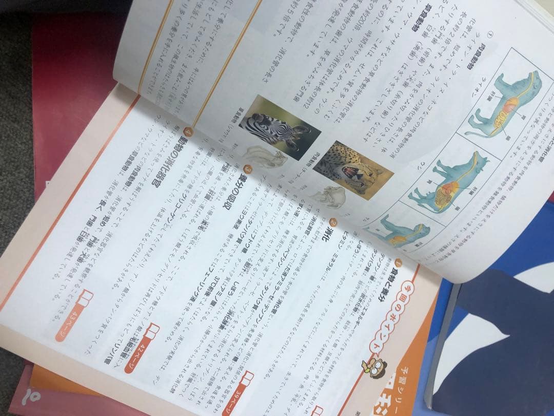 四谷大塚5年予習シリーズ国算理社/漢字 上下 中古 2023年版