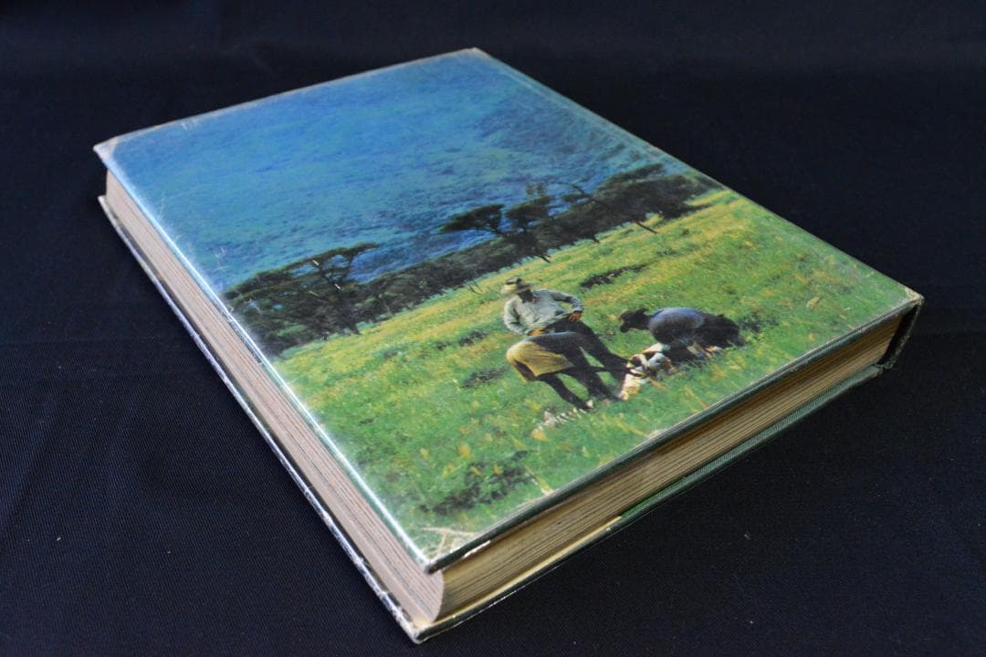 The End of The Game：peter beard ☆値下げしました